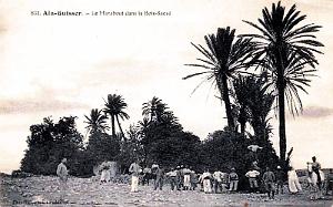 AIN-GUISSER - MARABOUT DANS LE BOIS SACRE
